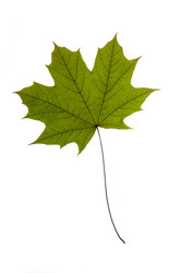 Similar image 1683485