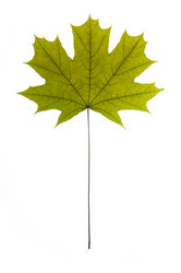 Similar image 1683486