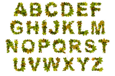 Similar image 1683492