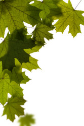 Similar image 1683495