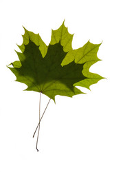 Similar image 1683498