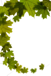 Similar image 1683501