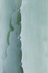 Similar image 1683504