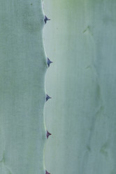 Similar image 1683505