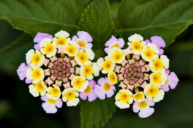 Similar image 1683506