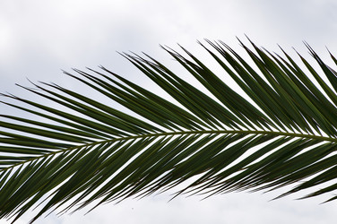 Similar image 1683507