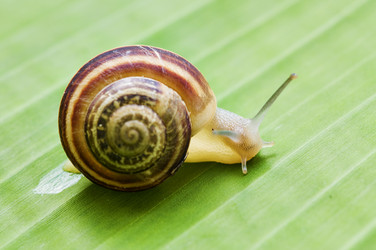 Similar image 1683508