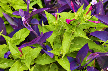 Similar image 1683511