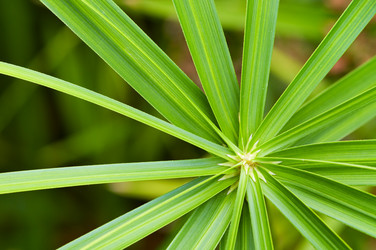 Similar image 1683513