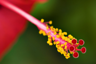 Similar image 1683514