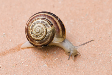 Similar image 1683515