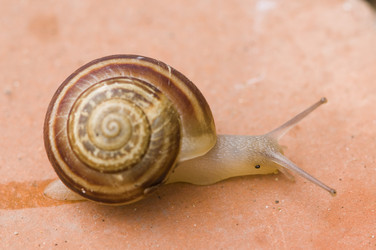 Similar image 1683517