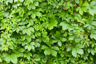 Similar image 1683520