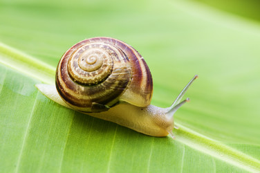 Similar image 1683521