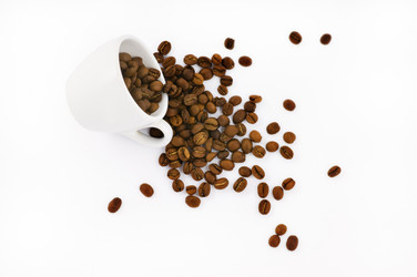 Similar image 1683529