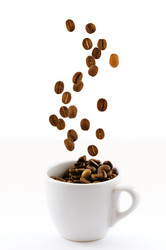 Similar image 1683539