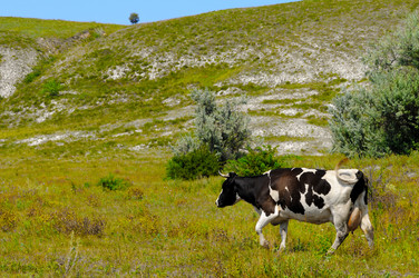 Similar image 1683541