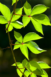 Similar image 1683543