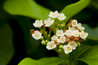 Similar image 1683545