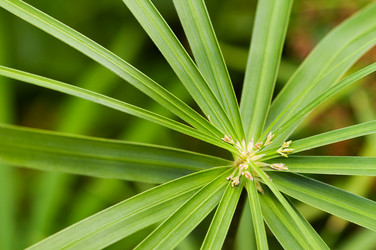 Similar image 1683546