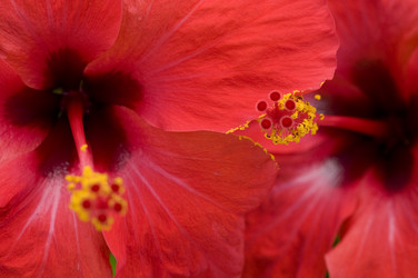 Similar image 1683548