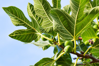 Similar image 1683550