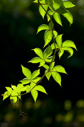 Similar image 1683553