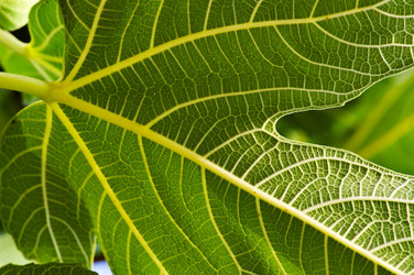 Similar image 1683568