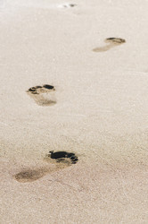 Similar image 1683569