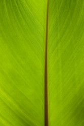 Similar image 1683574