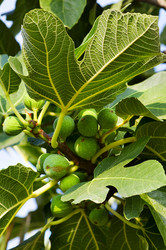 Similar image 1683573