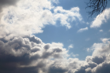 Similar image 1683588