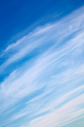 Similar image 1683590