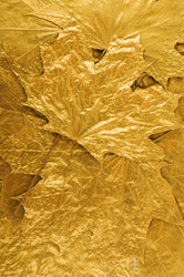 Similar image 1683603