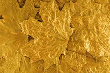 Similar image 1683604