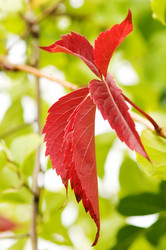 Similar image 1683605