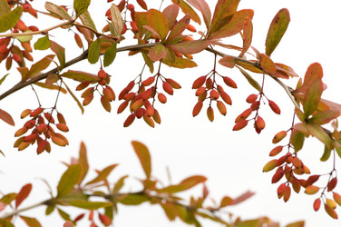 Similar image 1683606