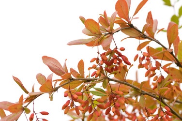 Similar image 1683607