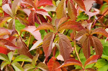 Similar image 1683608