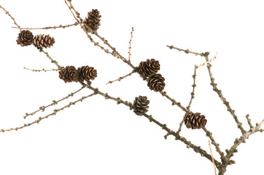 Similar image 1683610