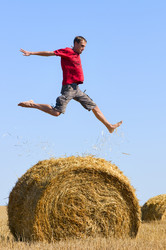 Similar image 1683614