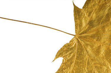 Similar image 1683620