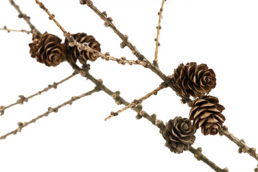 Similar image 1683622