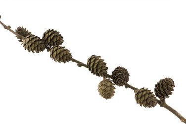 Similar image 1683633