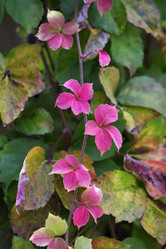 Similar image 1683748