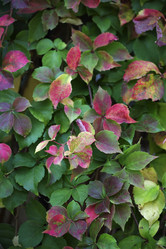 Similar image 1683749