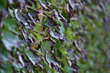 Similar image 1683761