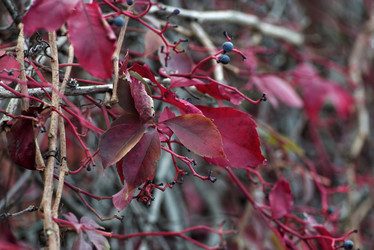 Similar image 1683762