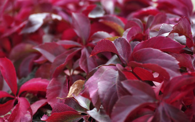 Similar image 1683767