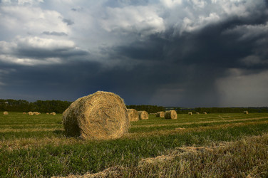 Similar image 1683863